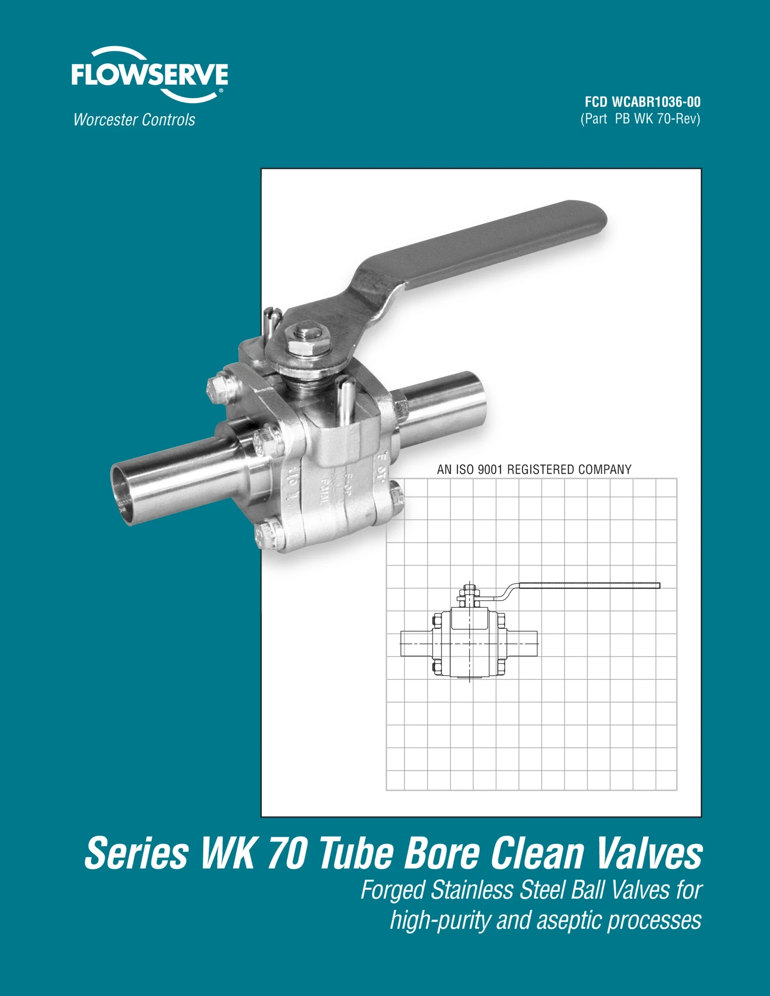 Worcester Controls WK 70系列管孔清洁阀手册